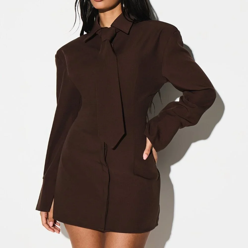 Brown Elegant Women's Long Sleeve Collared Tie Waist Mini Dress
